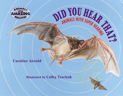 Book cover for Did You Hear That?
