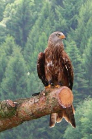 Cover of Red Tailed Hawk (Birds of the World)