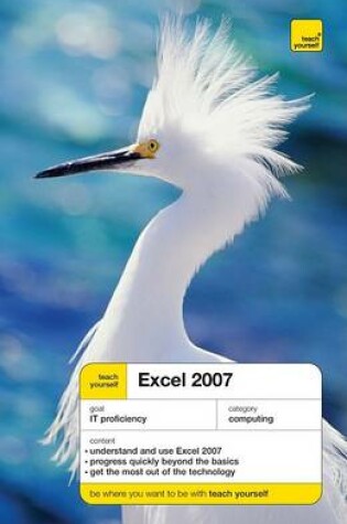 Cover of Teach Yourself Excel 2007 (McGraw-Hill Edition)