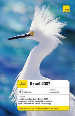 Book cover for Teach Yourself Excel 2007 (McGraw-Hill Edition)