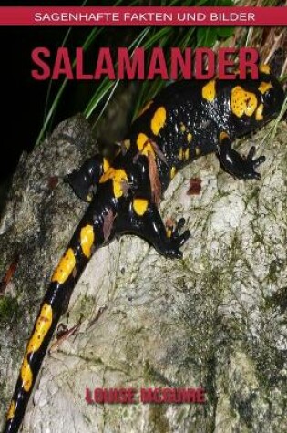 Cover of Salamander