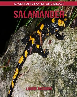 Book cover for Salamander