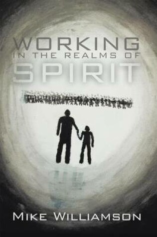 Cover of Working in the Realms of Spirit