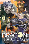 Book cover for Reincarnated as a Dragon Hatchling (Light Novel) Vol. 4