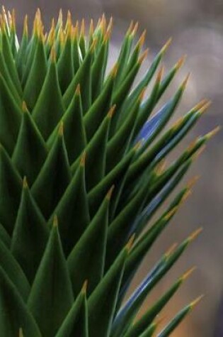 Cover of Evergreen Conifer (Araucaria araucana) Up Close Journal