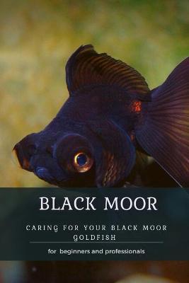 Book cover for Black Moor