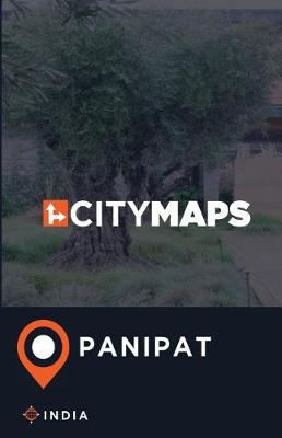 Book cover for City Maps Panipat India