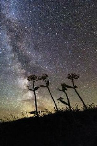 Cover of Night Sky Space Flowers Notebook