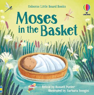 Book cover for Moses in the basket