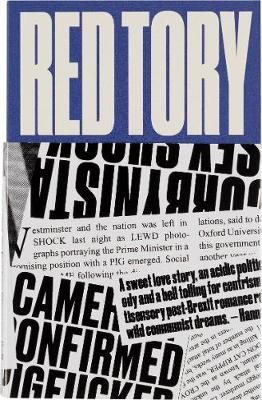 Book cover for Red Tory: My Corbyn Chemsex Hell