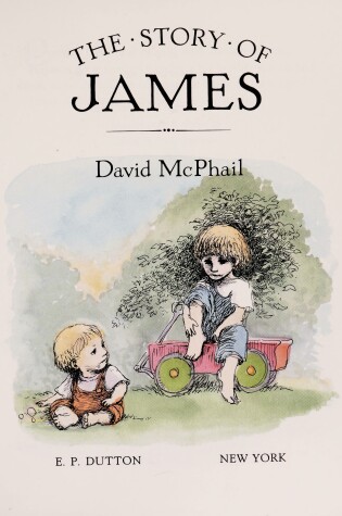 Cover of Mcphail David : Story of James (Hbk)