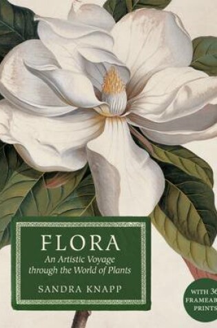 Cover of Flora: An Artistic Voyage Through the World of Plants