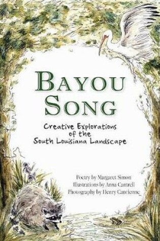 Cover of Bayou Song