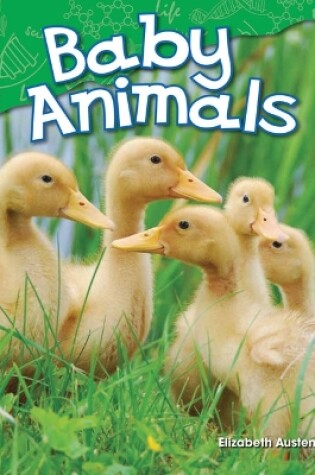 Cover of Baby Animals