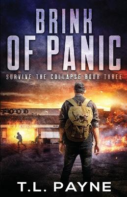 Book cover for Brink of Panic