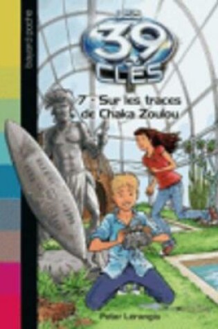 Cover of Sur les traces de Chaka Zoulou