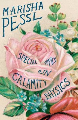 Book cover for Special Topics in Calamity Physics