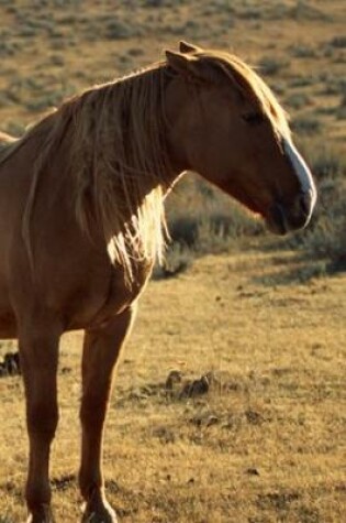 Cover of 2020 Daily Planner Horse Photo Equine Grumpy Chestnut 388 Pages