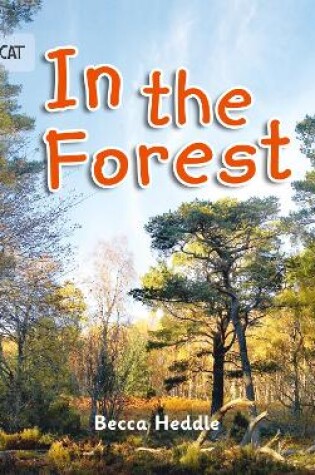 Cover of In the Forest