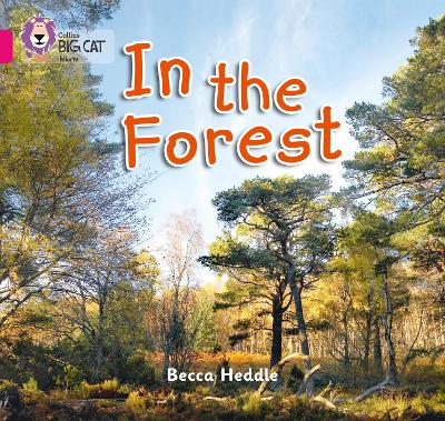 Book cover for In the Forest