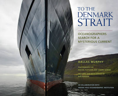 Book cover for To the Denmark Strait