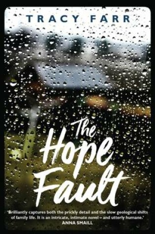 Cover of The Hope Fault