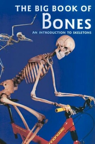 Cover of The Big Book of Bones