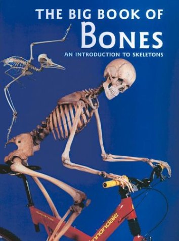 Book cover for The Big Book of Bones
