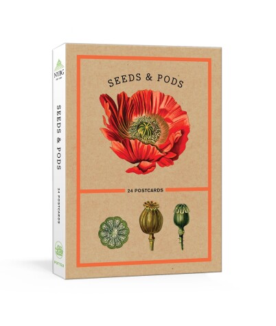 Book cover for Seeds and Pods