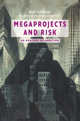 Cover of Megaprojects and Risk