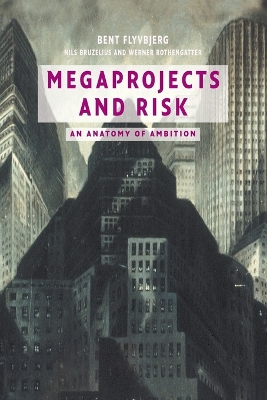 Book cover for Megaprojects and Risk