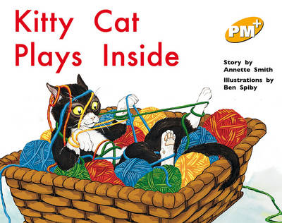 Book cover for Kitty Cat Plays Inside