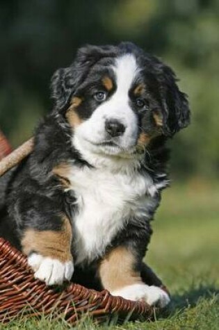 Cover of Bernese Mountain Dog Puppy Journal