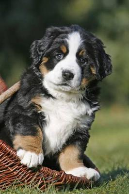 Book cover for Bernese Mountain Dog Puppy Journal