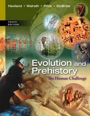 Book cover for Evolution and Prehistory : The Human Challenge