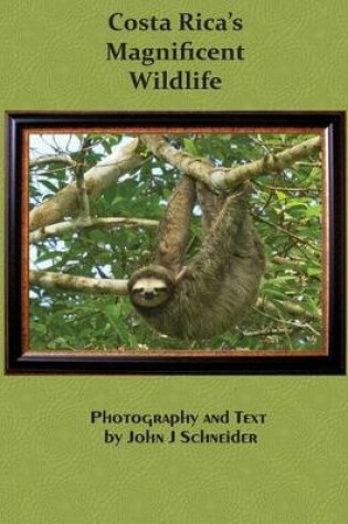 Cover of Costa Rica's Magnificent Wildlife