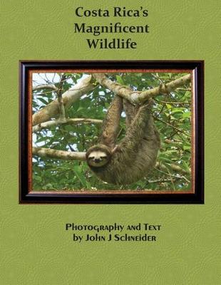 Book cover for Costa Rica's Magnificent Wildlife