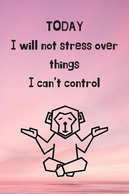 Book cover for Today I Will Not Stress Over Things I Can't Control