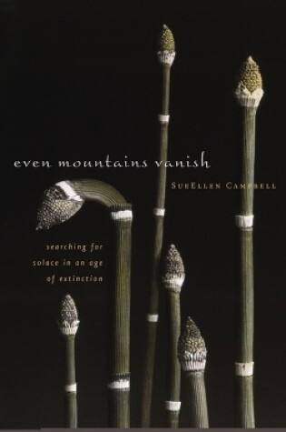 Cover of Even Mountains Vanish