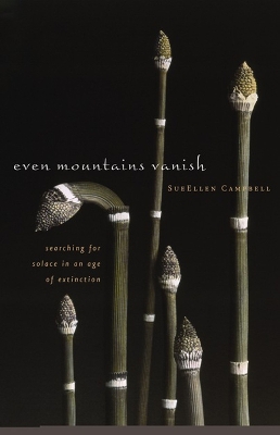 Book cover for Even Mountains Vanish