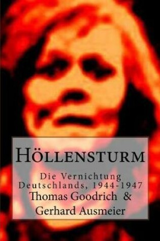 Cover of Hoellensturm