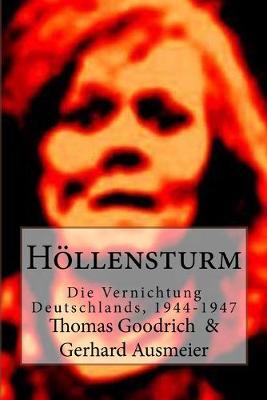 Book cover for Hoellensturm