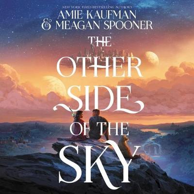 Book cover for The Other Side of the Sky