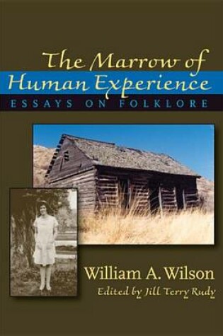 Cover of The Marrow of Human Experience