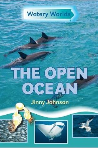 Cover of Watery Worlds: The Open Ocean