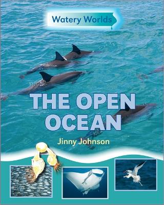 Book cover for Watery Worlds: The Open Ocean