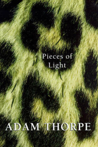 Cover of Pieces Of Light