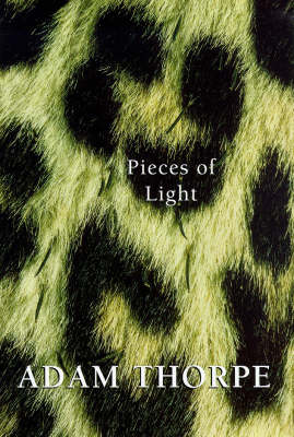 Book cover for Pieces Of Light