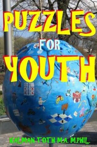 Cover of Puzzles for Youth