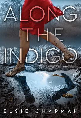 Book cover for Along the Indigo